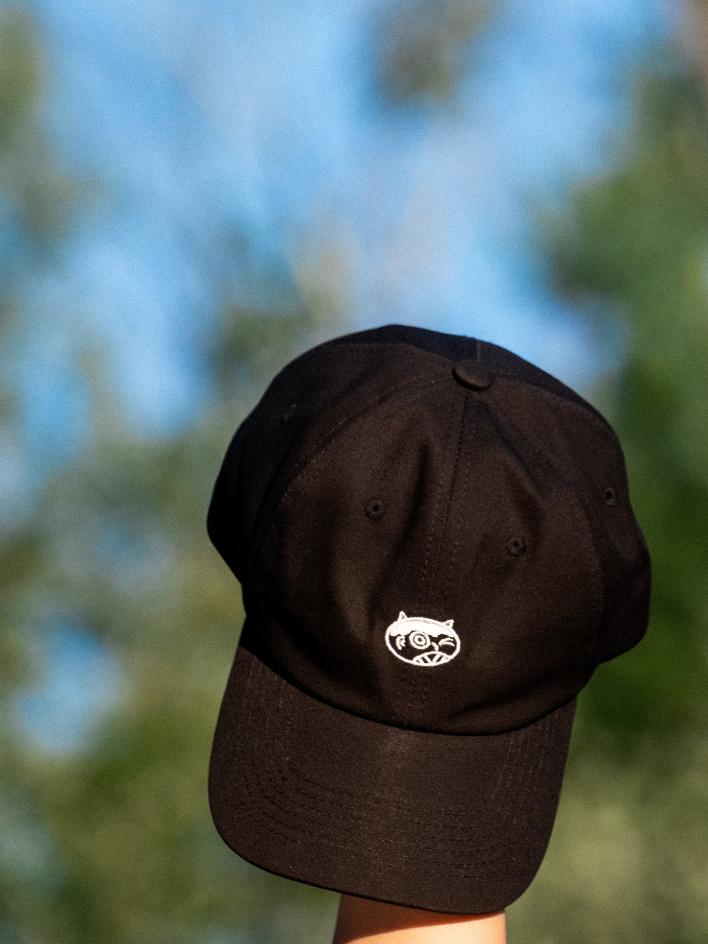midnight whim hat